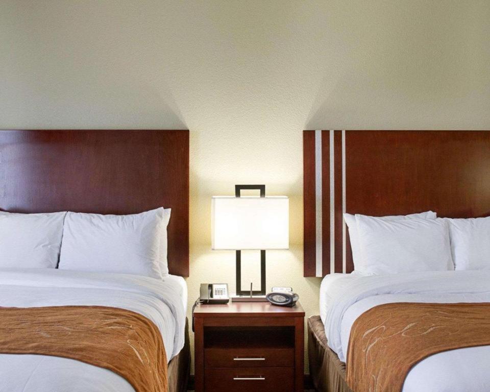 Comfort Suites Greenwood Eksteriør billede
