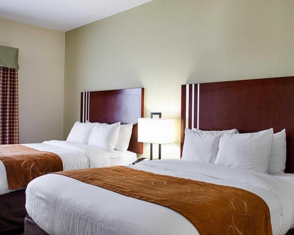 Comfort Suites Greenwood Eksteriør billede
